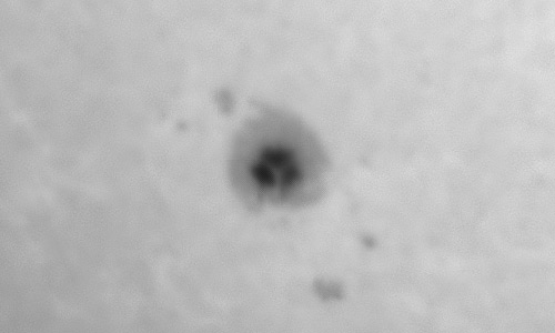 2024年9月19日の黒点（活動領域13828）