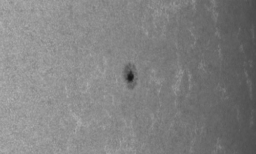 2024年9月23日の黒点（活動領域13825）