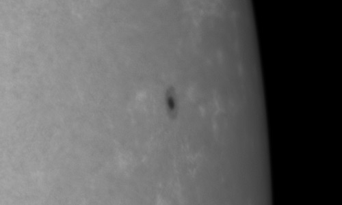 2024年9月24日の黒点（活動領域13825）