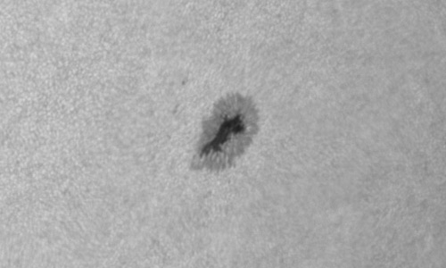 2024年9月24日の黒点（活動領域13827）