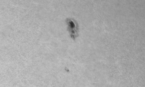 2024年9月24日の黒点（活動領域13831）