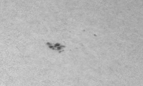 2024年9月24日の黒点（活動領域13833）