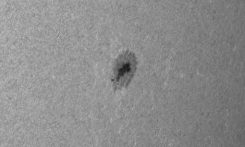 2024年9月25日の黒点（活動領域13827）