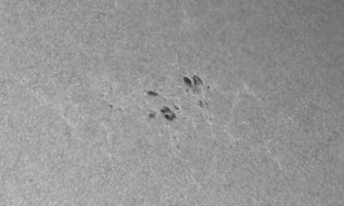 2024年9月25日の黒点（活動領域13833）