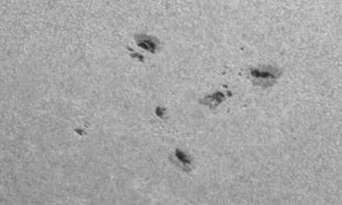 2024年9月25日の黒点（活動領域13835）