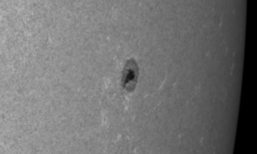 2024年9月26日の黒点（活動領域13827）