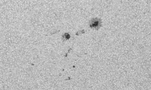 2024年9月26日の黒点（活動領域13834）