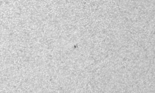 2024年9月26日の黒点（活動領域13837）