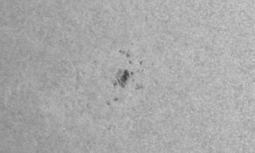 2024年9月29日の黒点（活動領域13841）