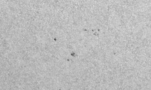 2024年9月29日の黒点（活動領域13843）