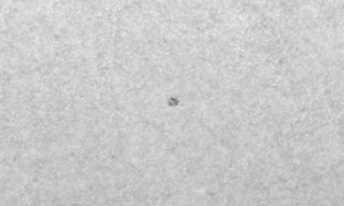 2024年10月5日の黒点（活動領域13847）