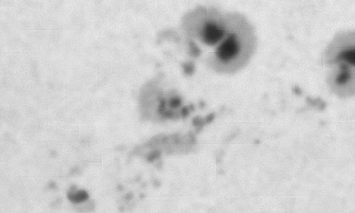 2024年10月9日の黒点（活動領域13849）