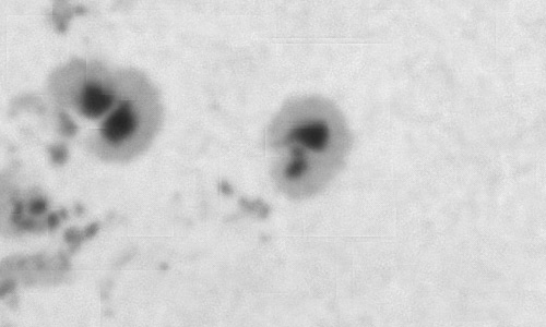 2024年10月9日の黒点（活動領域13850）