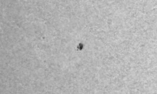 2024年10月10日の黒点（活動領域13853）