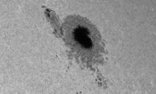 2024年10月12日の黒点（活動領域13848）