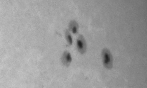 2024年10月14日の黒点（活動領域13849）