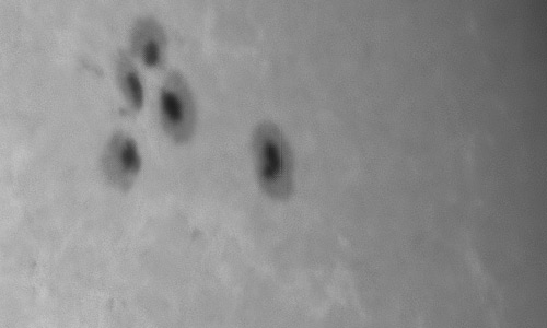 2024年10月14日の黒点（活動領域13850）