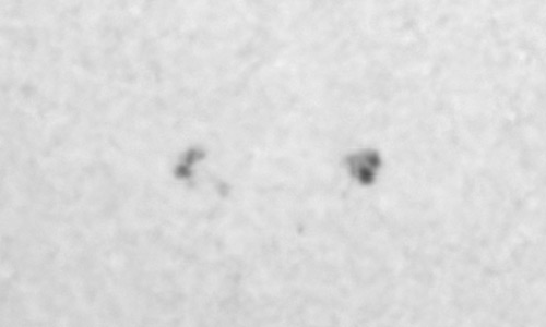 2024年10月16日の黒点（活動領域13859）