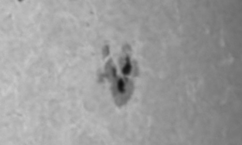 2024年10月17日の黒点（活動領域13852）