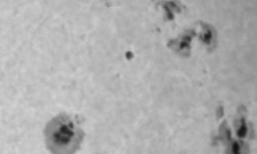 2024年10月17日の黒点（活動領域13854）