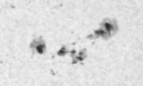 2024年10月17日の黒点（活動領域13856）