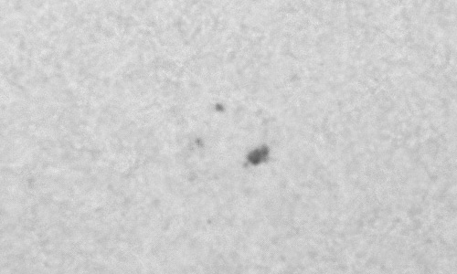 2024年10月25日の黒点（活動領域13865）