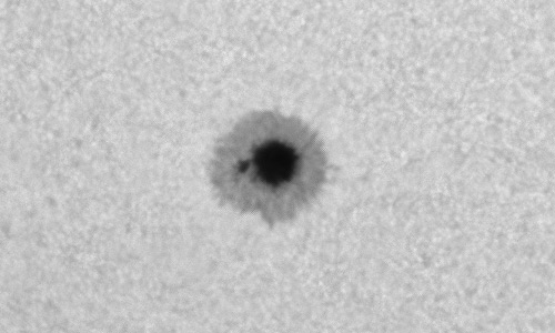 2024年10月26日の黒点（活動領域13868）