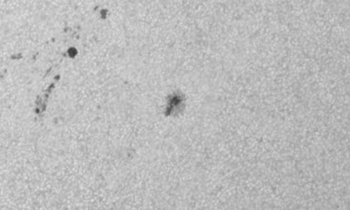 2024年11月20日の黒点（活動領域13893）