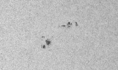 2024年11月20日の黒点（活動領域13896）