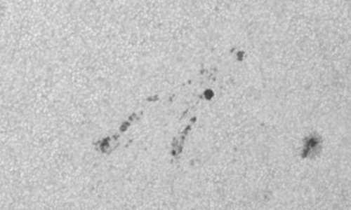 2024年11月20日の黒点（活動領域13898）