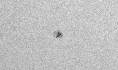 2024年11月20日の黒点（活動領域13899）