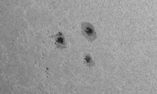 2024年11月20日の黒点（活動領域13901）