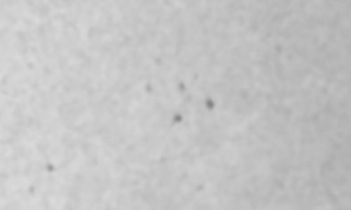 2024年12月6日の黒点（活動領域13913）