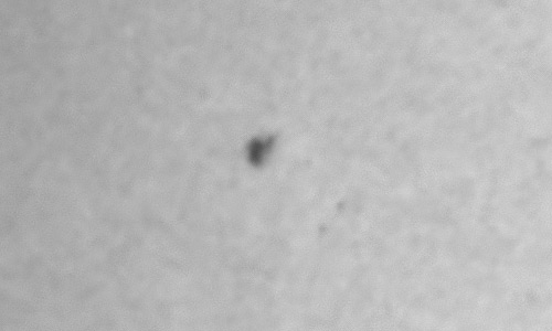 2024年12月20日の黒点（活動領域13929）