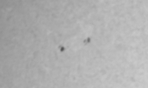 2024年12月20日の黒点（活動領域13931）