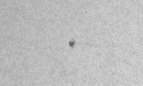 2024年12月21日の黒点（活動領域13929）