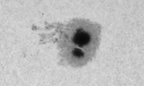 2025年1月19日（活動領域13959）