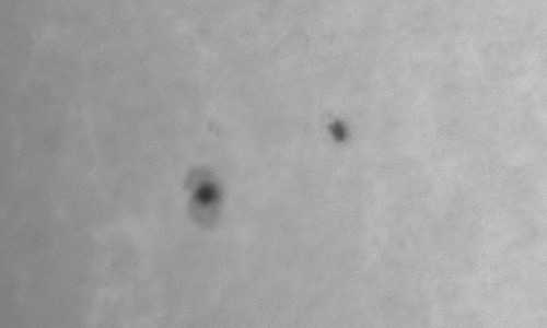 2025年1月19日（活動領域13967）