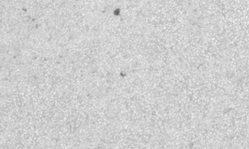 2025年2月28日（活動領域14004）