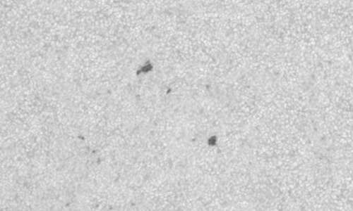 2025年2月28日（活動領域14007）