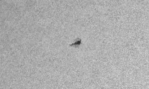 2025年2月28日（活動領域14008）