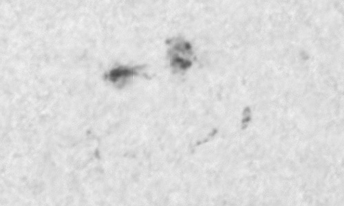 2025年3月1日（活動領域14007）