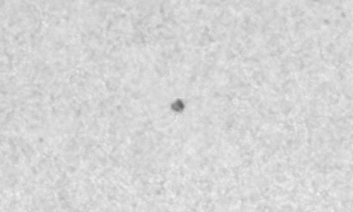 2025年3月2日（活動領域14008）