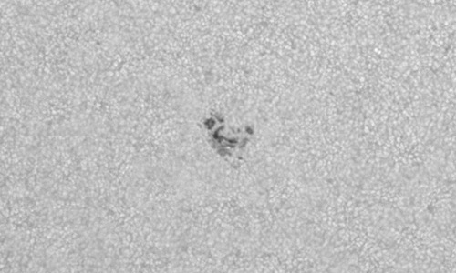 2025年3月8日（活動領域14013）