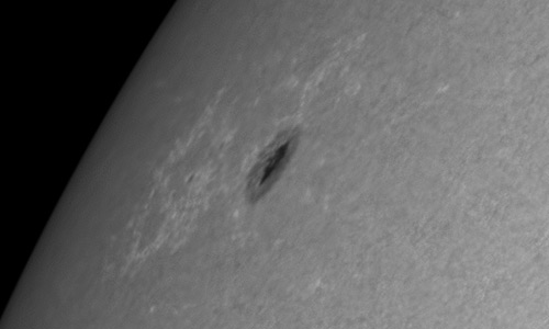 2025年3月8日（活動領域14019）