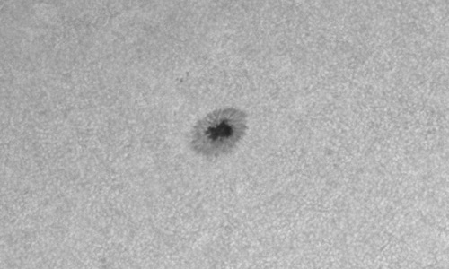 2025年3月12日（活動領域14020）