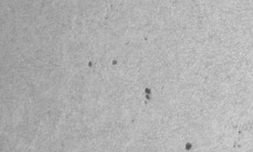 2025年3月18日（活動領域14034）