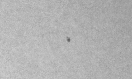 2025年3月18日（活動領域14023）