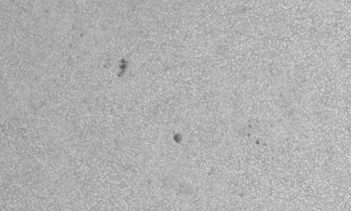 2025年3月19日（活動領域14034）