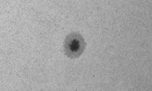 2025年3月19日（活動領域14021）